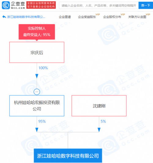 計算機技術服務 驅(qū)動數(shù)字化時代的核心力量