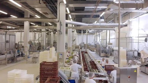 科技盛宴 食品機(jī)械加工如何以驚人技藝征服味蕾